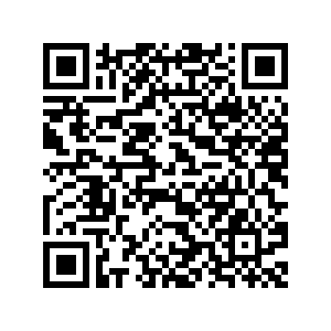 Qr code pour télécharger la Vcard de Sylvie Brossois graphiste spécialiste en identité visuelle et e-marketing.