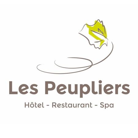 Création du logo d'un hôtel restaurant par Sylvie Brossois graphiste (Gap, Hautes-Alpes en région PACA)