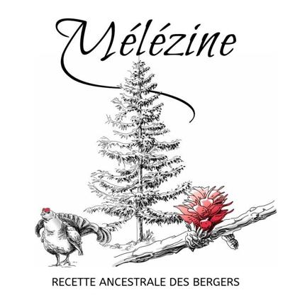 Étiquette illustration pour bouteilles de spiritueux, alcool de mélèze, par Sylvie Brossois graphiste (Gap, Hautes-Alpes en région PACA)