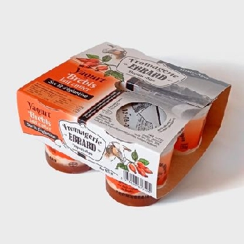 Packaging pour une gamme de yaourts aux fruits en pots emballés en cartonnettes. Créations de Sylvie Brossois graphiste.