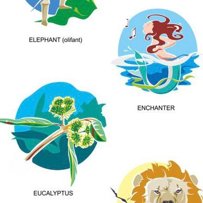 Création de pictogrammes pour le Reader's Digest par Sylvie Brossois graphiste (Gap, Hautes-Alpes en région PACA)