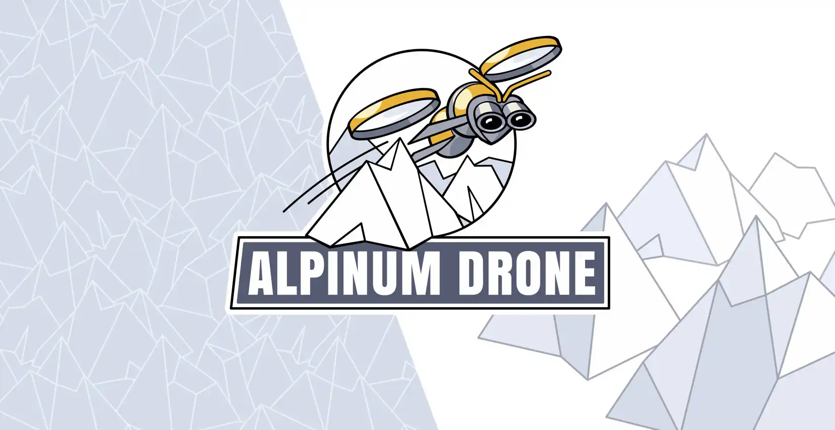 Logo et charte graphique d'une entreprise de relevés topographiques laser par drone en montagne